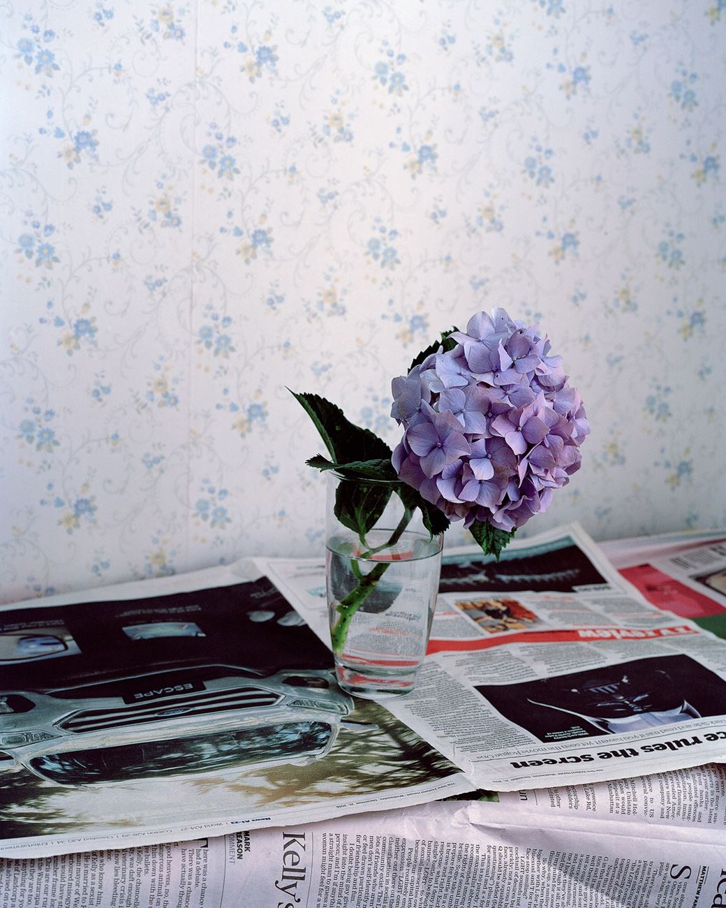 Harry Culy wins The Marti Friedlander Photographic Award